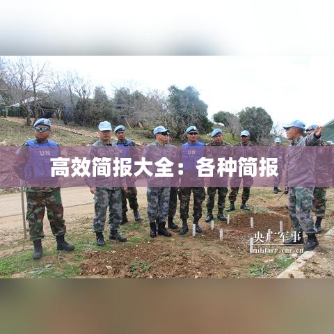 高效简报大全：各种简报 