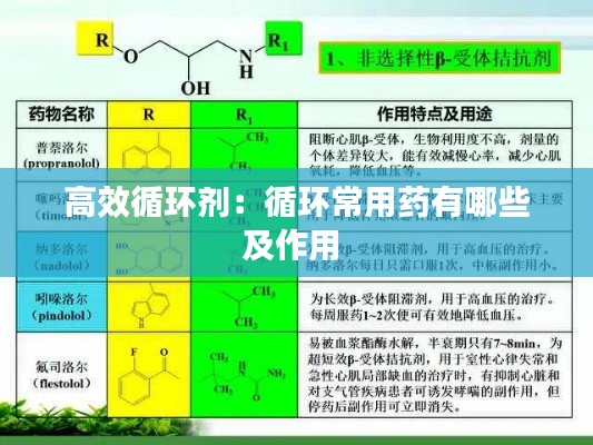 高效循环剂：循环常用药有哪些及作用 