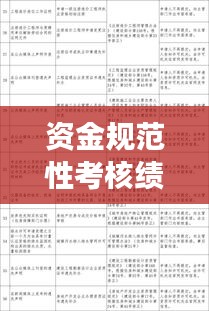 资金规范性考核绩效分析：资金管理绩效 