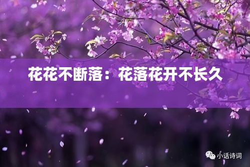 花花不断落：花落花开不长久 