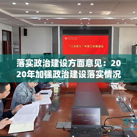 落实政治建设方面意见：2020年加强政治建设落实情况 