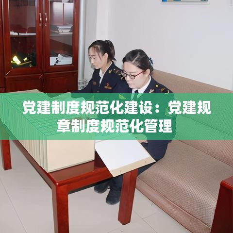 党建制度规范化建设：党建规章制度规范化管理 