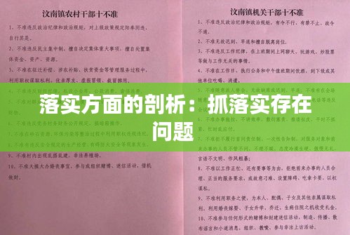 落实方面的剖析：抓落实存在问题 