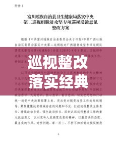 巡视整改落实经典语句：巡视整改整改措施 