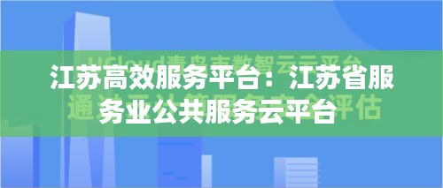 江苏高效服务平台：江苏省服务业公共服务云平台 