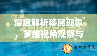 深度解析移民现象，多维视角观察与探讨