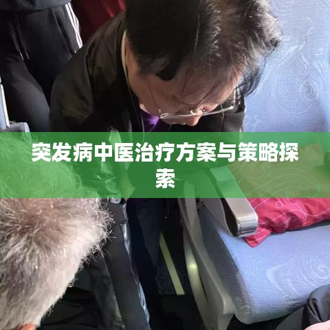 突发病中医治疗方案与策略探索