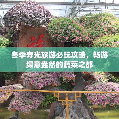 草率从事 第2页