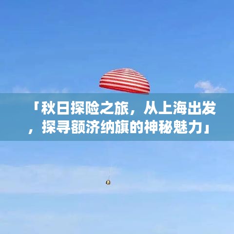 淡妆浓抹 第2页
