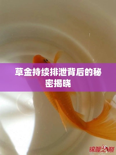粗枝大叶 第2页