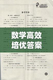 数学高效培优答案：数学高效练案答案2021 