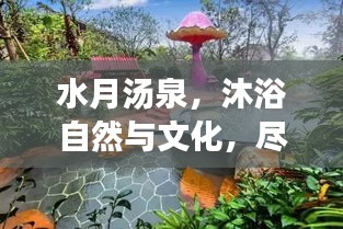 水月汤泉，沐浴自然与文化，尽享独特体验