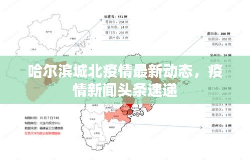 哈尔滨城北疫情最新动态，疫情新闻头条速递