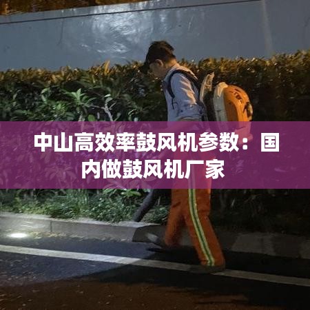 中山高效率鼓风机参数：国内做鼓风机厂家 