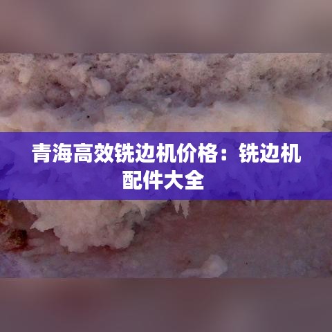 反朴还淳 第2页