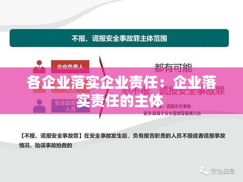 各企业落实企业责任：企业落实责任的主体 