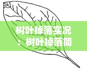 树叶掉落实况：树叶掉落简笔画图片 