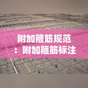 附加箍筋规范：附加箍筋标注 