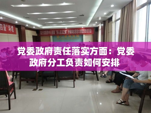 党委政府责任落实方面：党委政府分工负责如何安排 