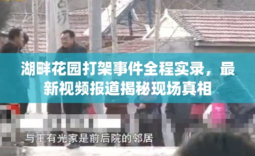 湖畔花园打架事件全程实录，最新视频报道揭秘现场真相