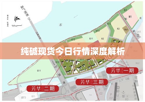 纯碱现货今日行情深度解析