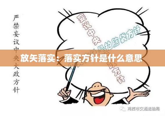 放矢落实：落实方针是什么意思 
