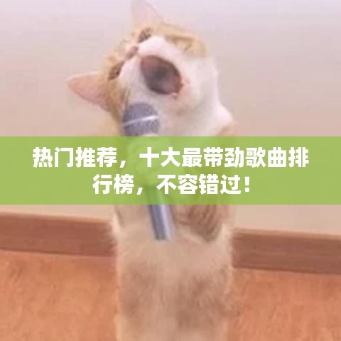 热门推荐，十大最带劲歌曲排行榜，不容错过！