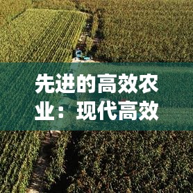 先进的高效农业：现代高效农业 