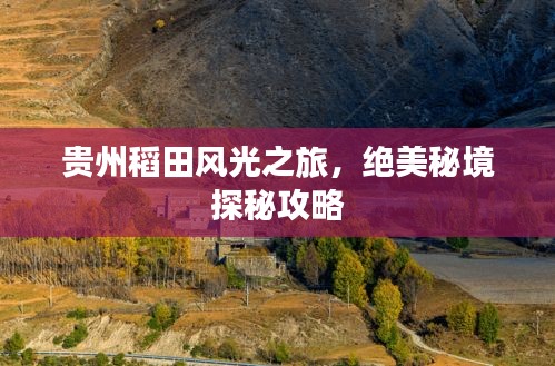 贵州稻田风光之旅，绝美秘境探秘攻略