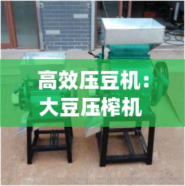 高效压豆机：大豆压榨机 