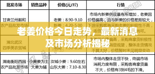 老姜价格今日走势，最新消息及市场分析揭秘