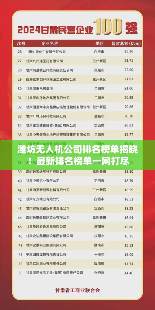 潍坊无人机公司排名榜单揭晓！最新排名榜单一网打尽