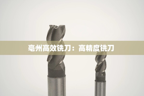 难能可贵 第2页