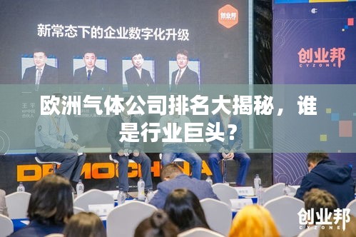 欧洲气体公司排名大揭秘，谁是行业巨头？