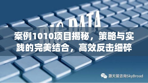 案例1010项目揭秘，策略与实践的完美结合，高效反击细碎挑战