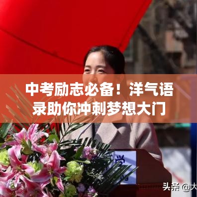 走马观花 第2页