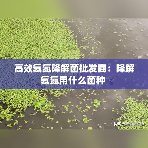十全十美 第2页