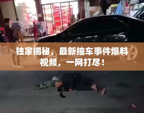 独家揭秘，最新抽车事件爆料视频，一网打尽！