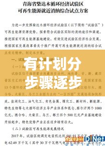 有计划分步骤逐步落实：按照计划落实工作 