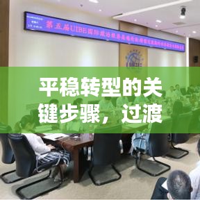 平稳转型的关键步骤，过渡期内严格落实执行策略
