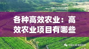 各种高效农业：高效农业项目有哪些 