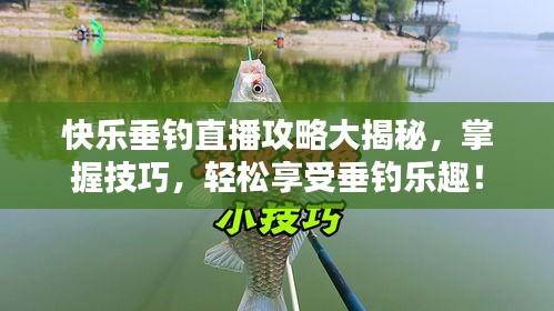 快乐垂钓直播攻略大揭秘，掌握技巧，轻松享受垂钓乐趣！