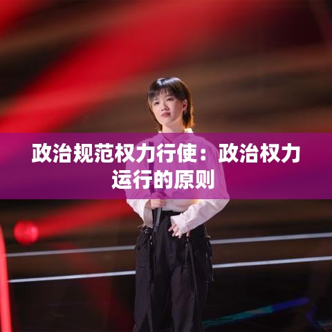 政治规范权力行使：政治权力运行的原则 