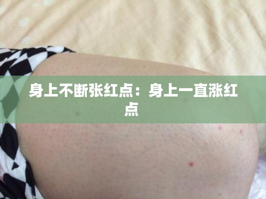 贵戚之卿 第2页