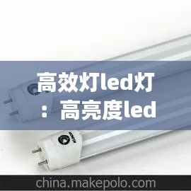 不飞则已 第2页