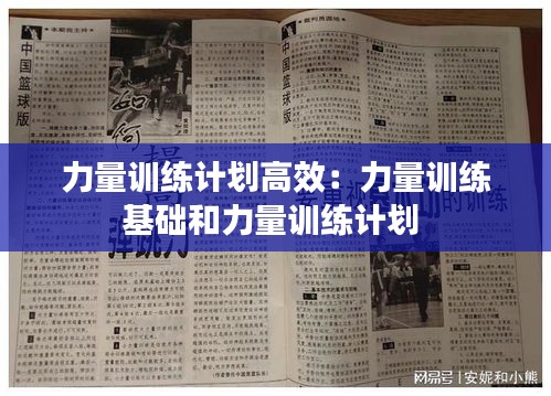 力量训练计划高效：力量训练基础和力量训练计划 