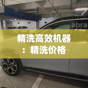 精洗高效机器：精洗价格 