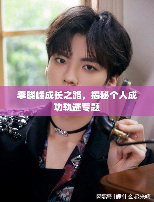 李晓峰成长之路，揭秘个人成功轨迹专题