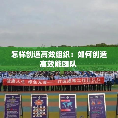 怎样创造高效组织：如何创造高效能团队 