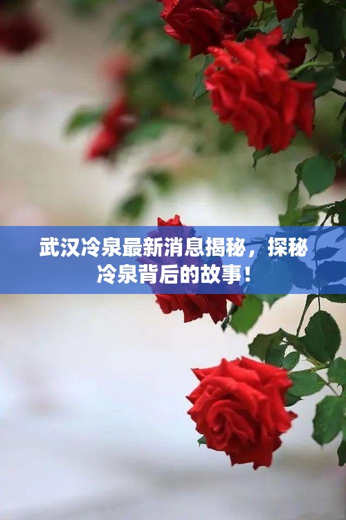 武汉冷泉最新消息揭秘，探秘冷泉背后的故事！